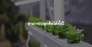 2565 10 12 เวลา 14.22.42